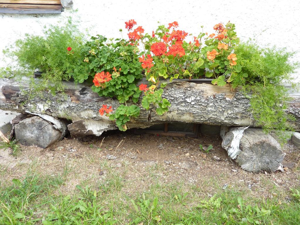 Bio-Bauernhof Rettenbachgut Werfen Eksteriør billede